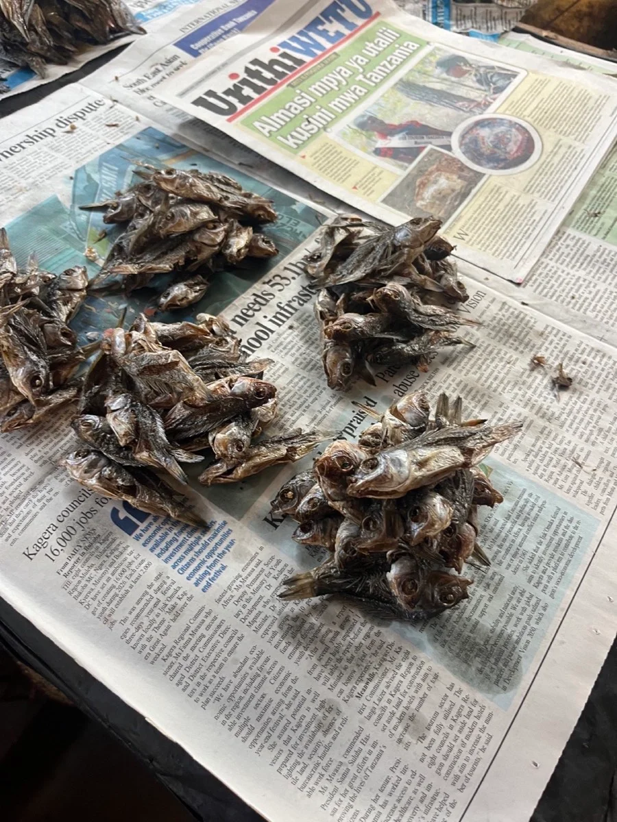 Dried fish arranged on newspaper for sale at a Tanzanian market